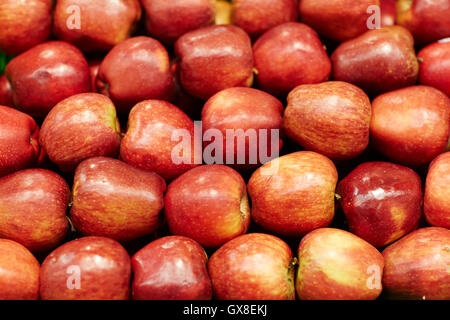Ripe red apples Stock Photo