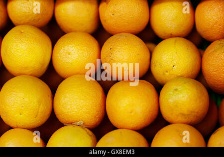Row of fresh oranges Stock Photo