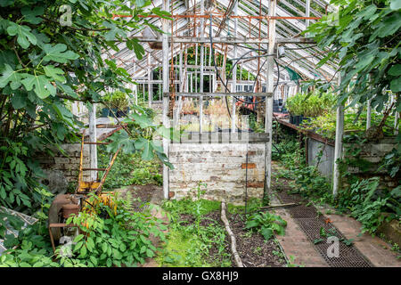 Beautiful old Victorian era greenhouse left ro ruin in old English garden Stock Photo