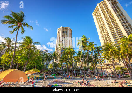 Palms and people at Waikiki beach at Oahu Stock Photo - Alamy