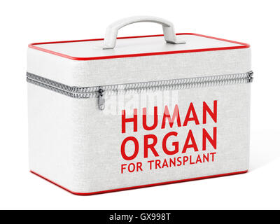 Human organ transport box isolated on white background. 3D illustration ...