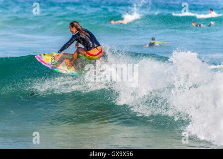 A Australian surfer on the crest of a wave, Bondi Beach in the Eastern Suburbs Sydney Stock Photo