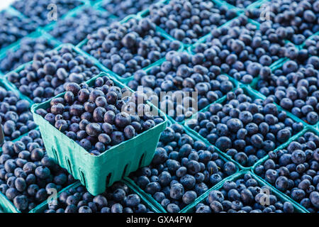 Fresh blueberries an an open air farmers market, Stock Photo