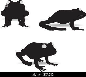 EPS 10 vector illustration of frog on white background Stock Vector ...