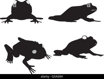 EPS 10 vector illustration of frog on white background Stock Vector ...