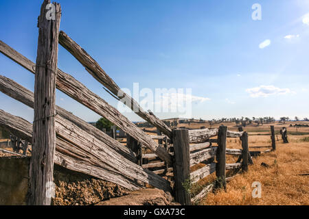 Old dilapidated wooden cattle race fence in the country. Stock Photo