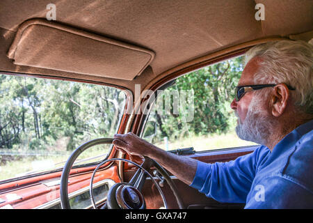 Interior of 1940’s restored vintage car being driven by elderly man with grey hair and beard wearing sunglasses. Stock Photo