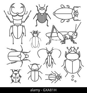 Vector collection of different bugs. Icon set of insects in linear style. Stock Vector