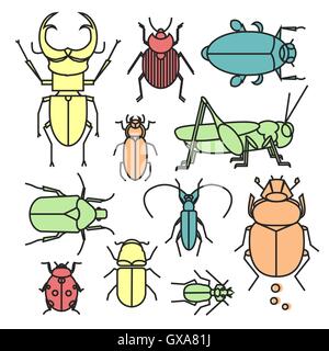 Colorful linear collection of different bugs and beetle. Cute flat insects in geometric style.. Stock Vector