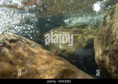 Underwater turbulence in a rocky river. Stock Photo