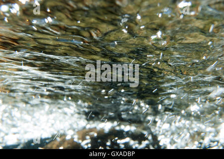 Sparkling water rushing in a river. Stock Photo