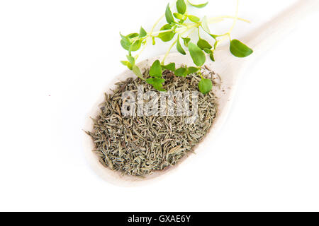 fresh and dried thyme on white background Stock Photo