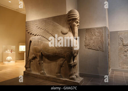 Human-headed winged lion (lamassu). 883-859 BC. Neo-Assyrian. Reign of Ashurnasirpal. Nimrud (ancient Kalhu). Mesopotamia. Stock Photo