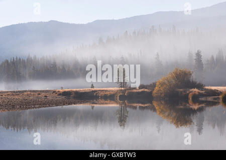 Early morning mist over Tuolumne Meadows, Yosemite National Park, California, USA. Autumn (October) 2014. Stock Photo