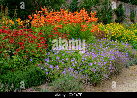 walled garden flowering shrubs Stock Photo