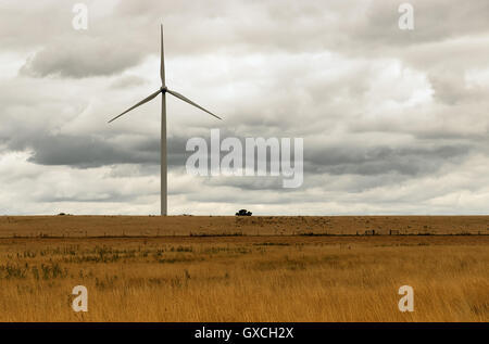 Wind turbine in a field Stock Photo