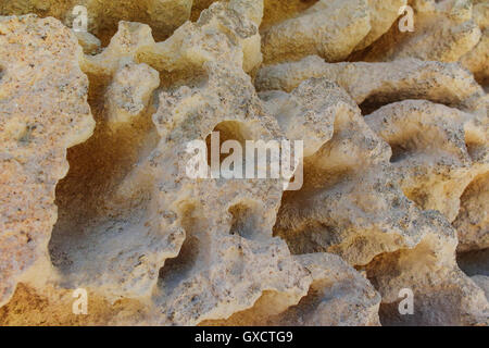 Textured limestone rock with erosion sponge surface, Provence, France Stock Photo