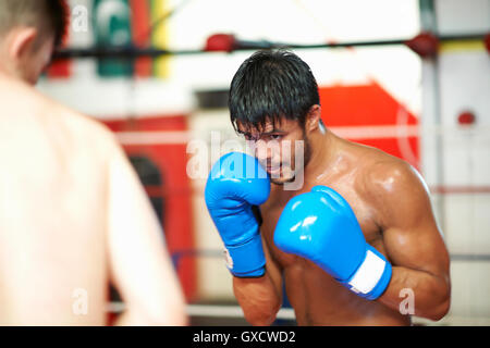 Two boxers sparring in boxing ring Stock Photo