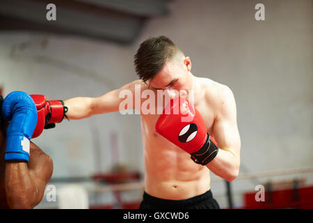 Two boxers sparring in boxing ring Stock Photo