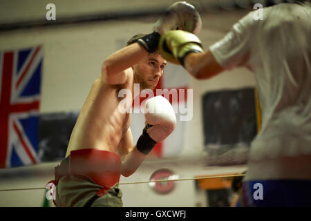 Two boxers sparring in boxing ring Stock Photo