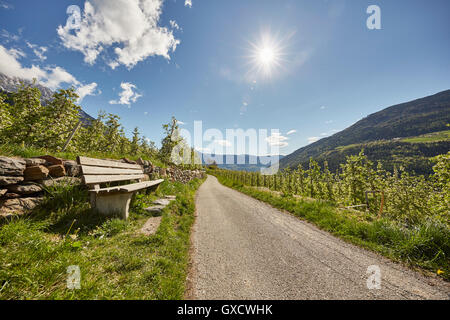 Bench beside road, Meran, South Tyrol, Italy Stock Photo