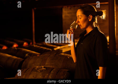 Female taster smelling whisky in glass at whisky distillery Stock Photo