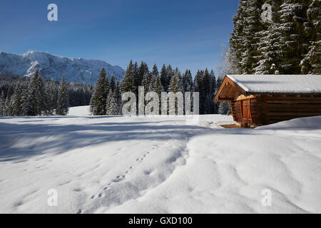 Fir trees and log cabin on snow covered landscape, Elmau, Bavaria, Germany Stock Photo