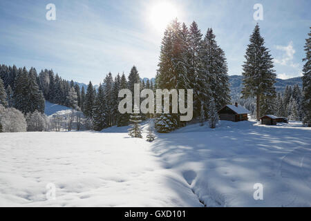 Fir trees and log cabin on snow covered landscape, Elmau, Bavaria, Germany Stock Photo