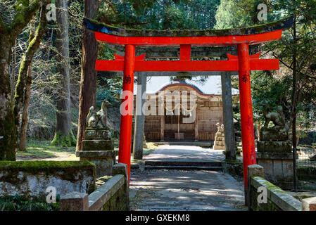 Japan, Izushi castle. Vermillion wooden torii and behind stone torii leading to the wooden inari shrine wooden building in the inari bailey of castle. Stock Photo