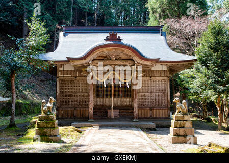 Japan, Izushi castle. Inari wooden shrine hall in a clearing in the Inari bailey surrounded by trees. Honden and Komainu guardian statues by path. Stock Photo