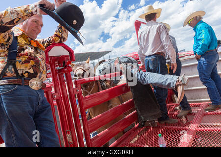 A rodeo clown adjusts his hat as a bronco rider get's ready to ride during the Cheyenne Frontier Days rodeo July 25, 2015 in Cheyenne, Wyoming. Frontier Days celebrates the cowboy traditions of the west with a rodeo, parade and fair. Stock Photo