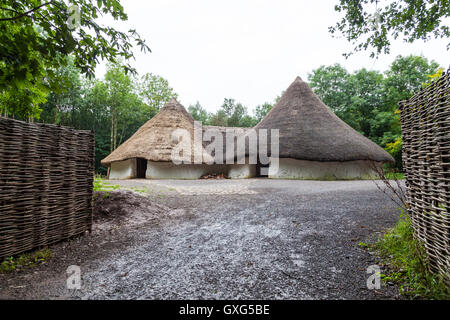 iron-age-roundhouses-at-st-fagans-museum-cardiff-wales-stock-photo