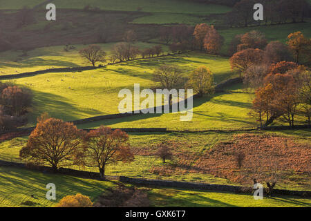 Beautiful rolling Lake District countryside in autumn, Newland’s Valley, Cumbria, England. Autumn (November) 2014. Stock Photo
