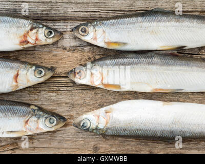 Vendace fishes on the old weathered wooden board Stock Photo