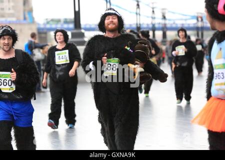 The Great Gorilla Run now in its 14th year, is a charity fun run that has raised well over £2 million for gorilla conservation and poverty reduction projects in central Africa.   Hundreds of people dressed as gorillas run, jog or walk 8km though the City of London, raising money to help save a species on the edge of extinction. Stock Photo