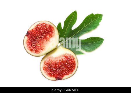 Two halves of fresh ripe black fig with fig leaf isolated on white background Stock Photo