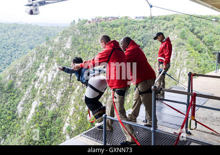 Girl about to bungee jump from the Bloukrans bridge, South Africa Stock Photo