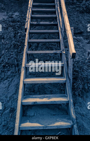 Moonlight illuminates a wooden staircase in the dunes. Stock Photo