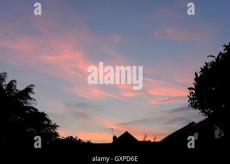 Late summer's evening view of the sun setting in the west, in a semi rural location. Whips of cirrus clouds can be seen. Stock Photo