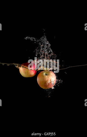 apples falling in water on dark background, and take up a lot of spray Stock Photo