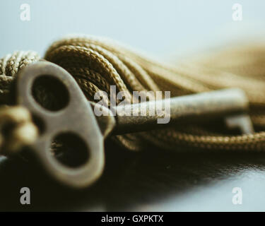 Skeleton Key Stock Photo