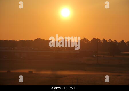 Photo of the morning sunrise during the golden hour. Stock Photo