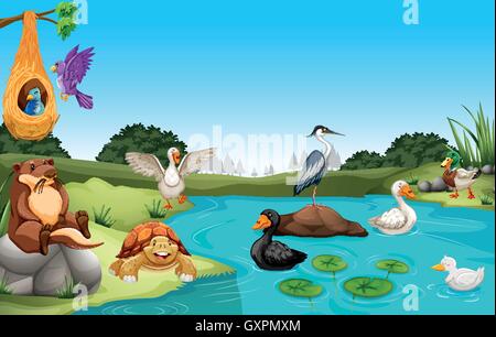 Many animals living by the pond illustration Stock Vector