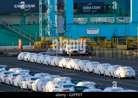 Cars waiting to be loaded at dock; New Luxury British made cars under wraps, wrapped for protection for export from the UK at Seaforth Docks.   White wrapped covered new British Jaguar & Land Rover  made vehicles for export lining up on the Liverpool quayside for export.  CMA CGM  ship at Peel Ports £300m deep water container terminal, which can now handle the biggest container vessels in the world, Merseyside, UK Stock Photo