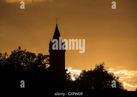 Silhouette of a church tower at sunset. Intricate metal structure on top. Birds can be seen roosting on roof and structure Stock Photo