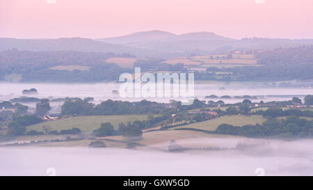 Mist covered rolling countryside at dawn near Moretonhampstead, Dartmoor National Park, Devon, England. Summer (July) 2015. Stock Photo