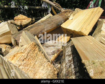 Firewood for the fire are in the mess tent Stock Photo