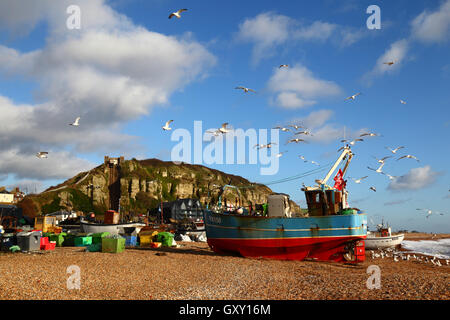 Seagulls flying above fishing boat on beach, East Hill Lift funicular railway in background, Hastings, East Sussex, England Stock Photo