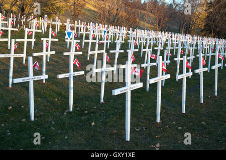 Field of Crosses memorial for fallen soldiers on Remembrance Day Stock Photo
