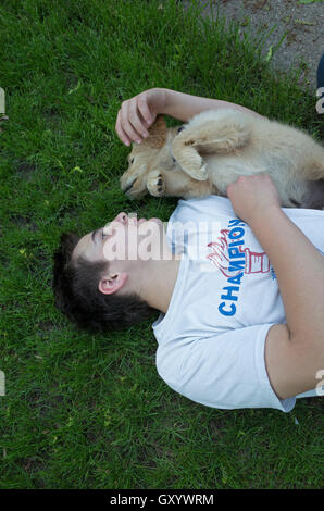 My grandson playing in the grass with Odin, his new Goldendoodle puppy. St Paul Minnesota MN USA Stock Photo